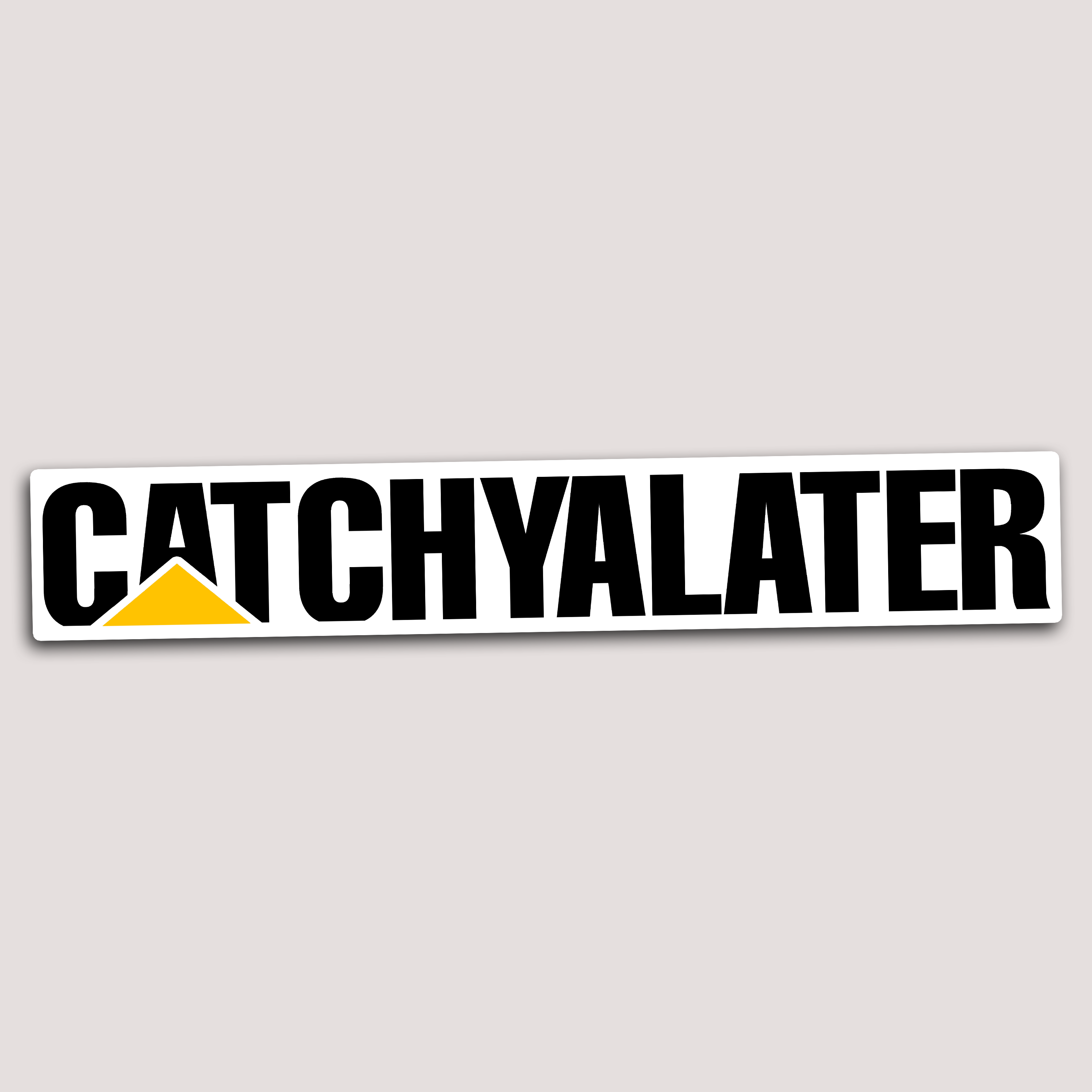 CATCHYALATER STICKER