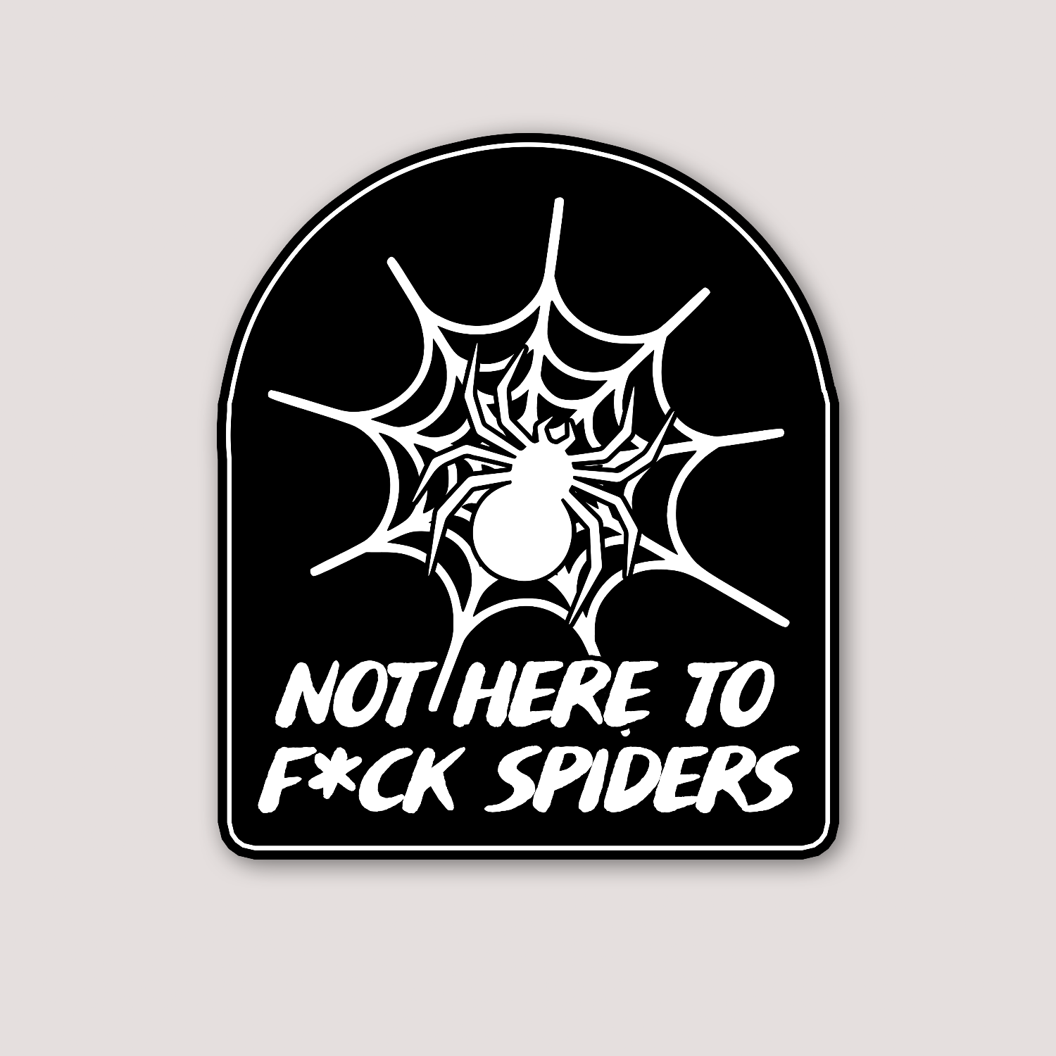 A sticker with a black background featuring a white graphic of a spider and web, and the text 'NOT HERE TO F*CK SPIDERS'.